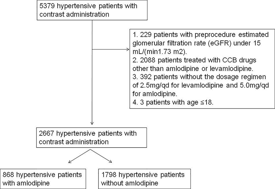 amlodipine in diabetic patients