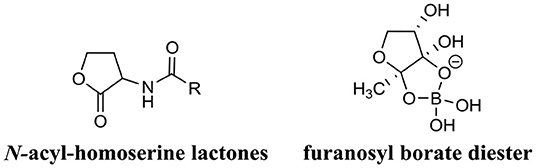 www.frontiersin.org