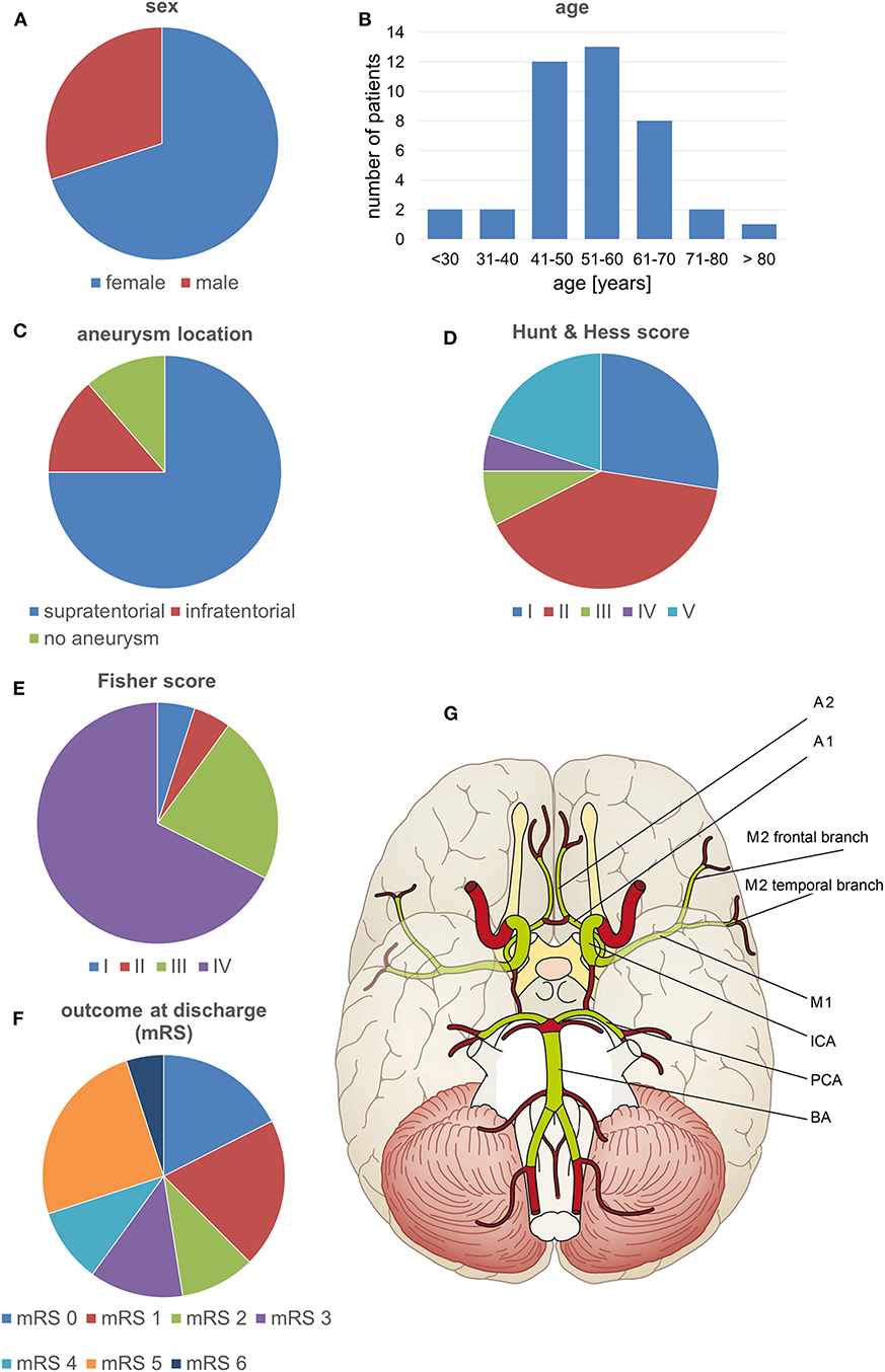 Imaging Evaluation of SAH and Aneurysm