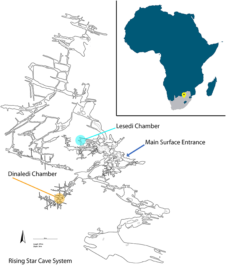 Figure 1 - Location of the Cradle of Humankind in Africa (upper right).
