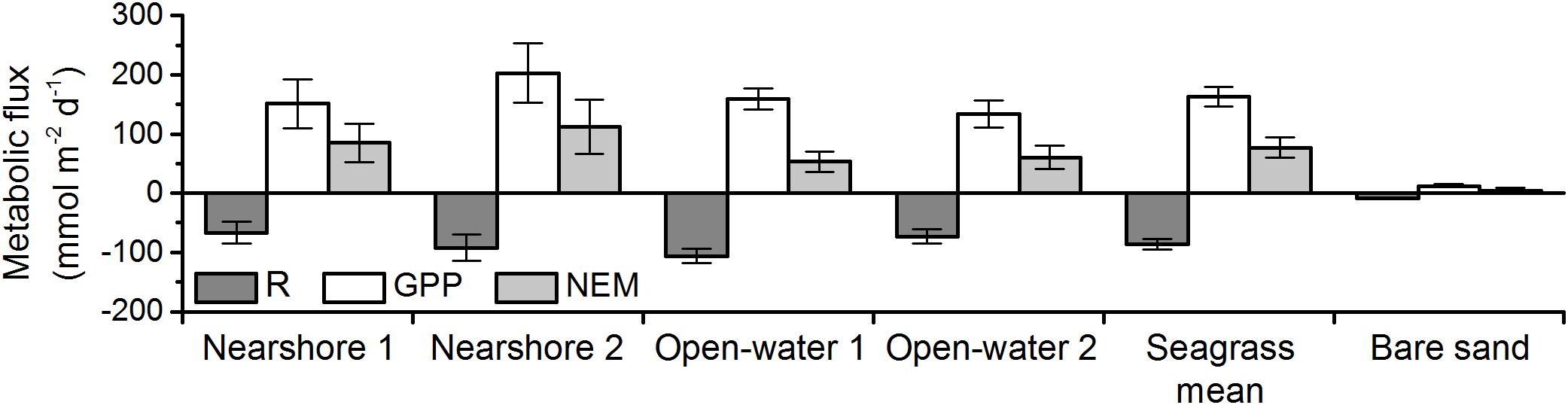 Mortality of Seagrass Meadows May Not Kill Their Methane Release - Eos