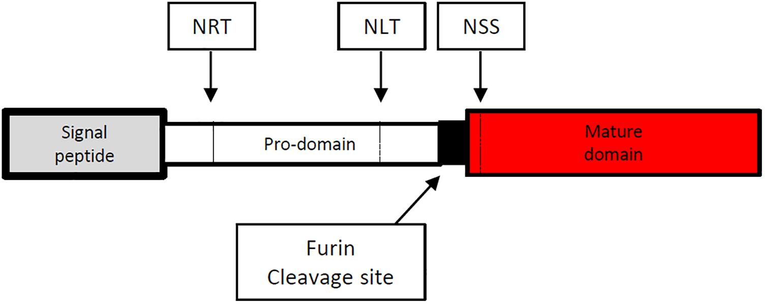www.frontiersin.org