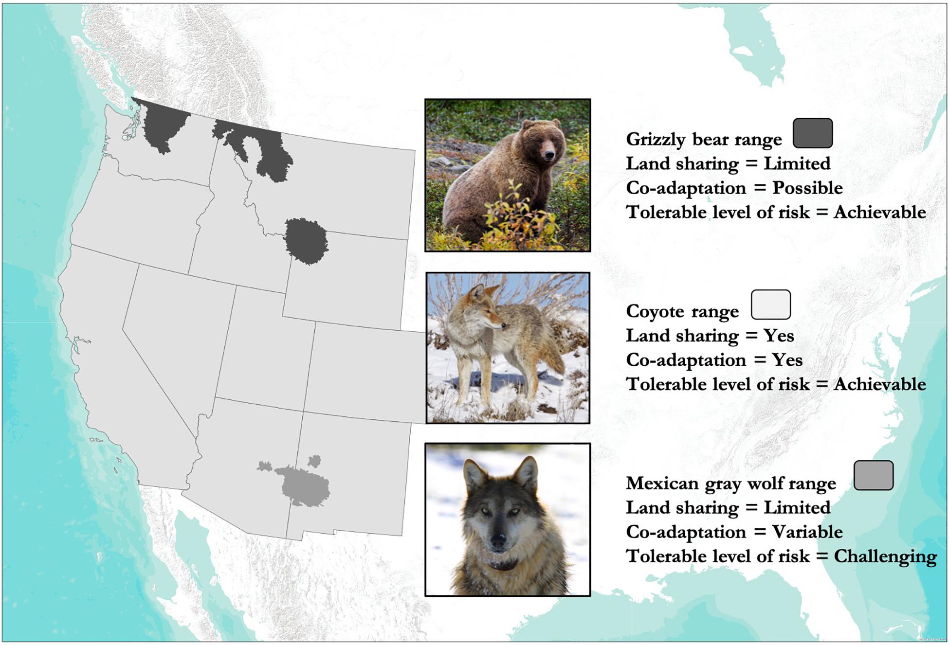 Frontiers | Are We Coexisting With Carnivores in the American West?