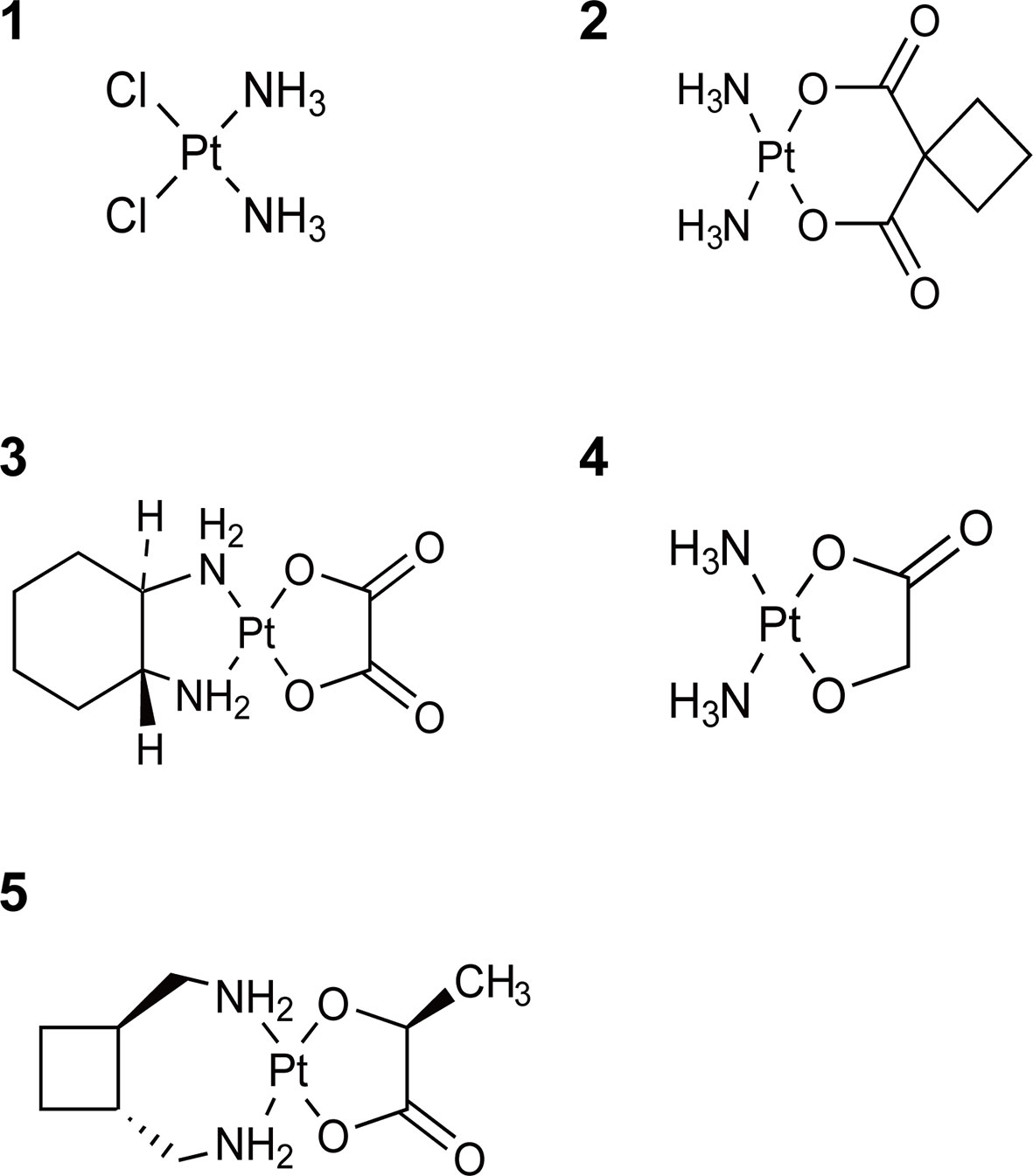 Frontiers The Drug Resistance Mechanisms Of Five Platinum Based Antitumor Agents Pharmacology