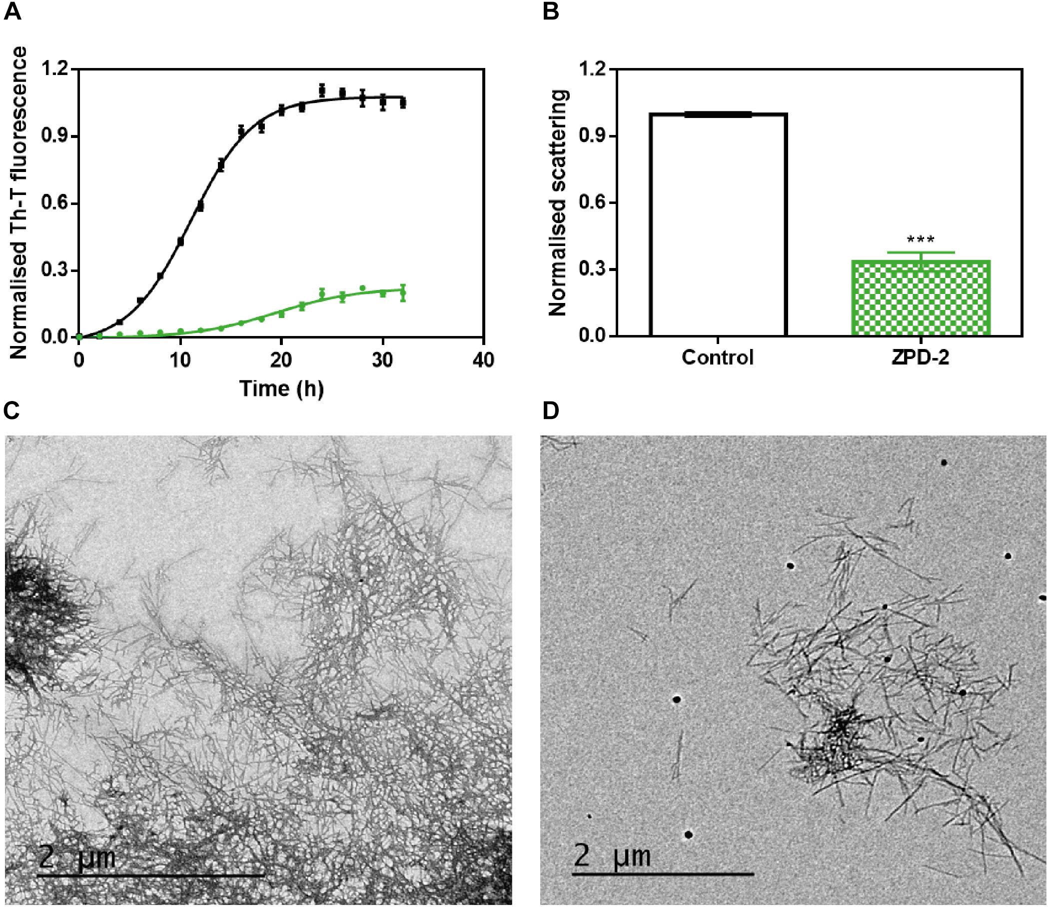 Frontiers  Inhibition of α-Synuclein Aggregation and Mature Fibril  Disassembling With a Minimalistic Compound, ZPDm