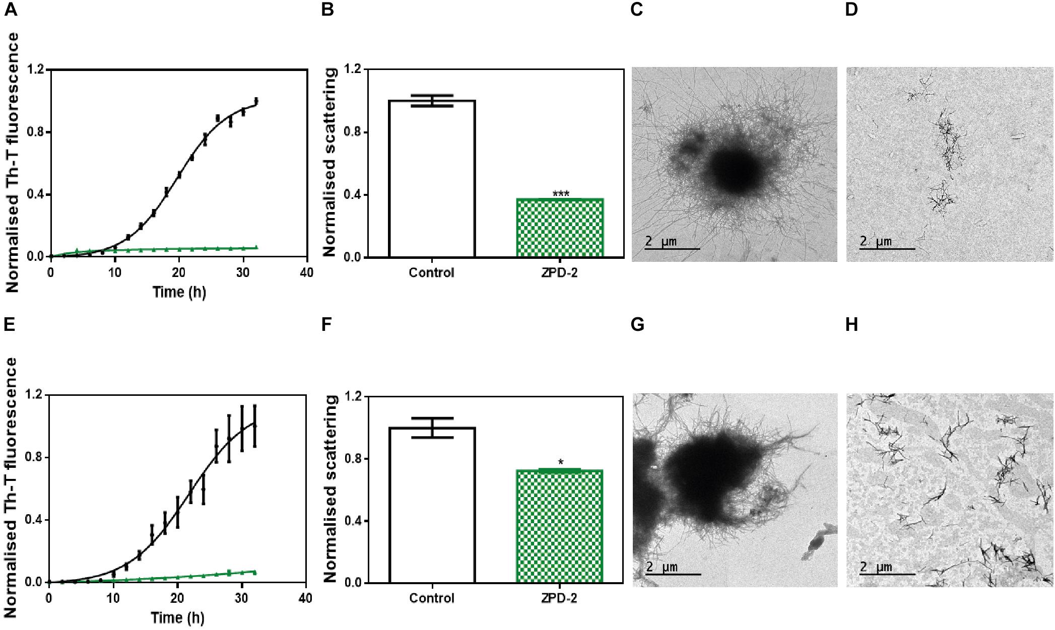 Frontiers  Inhibition of α-Synuclein Aggregation and Mature Fibril  Disassembling With a Minimalistic Compound, ZPDm