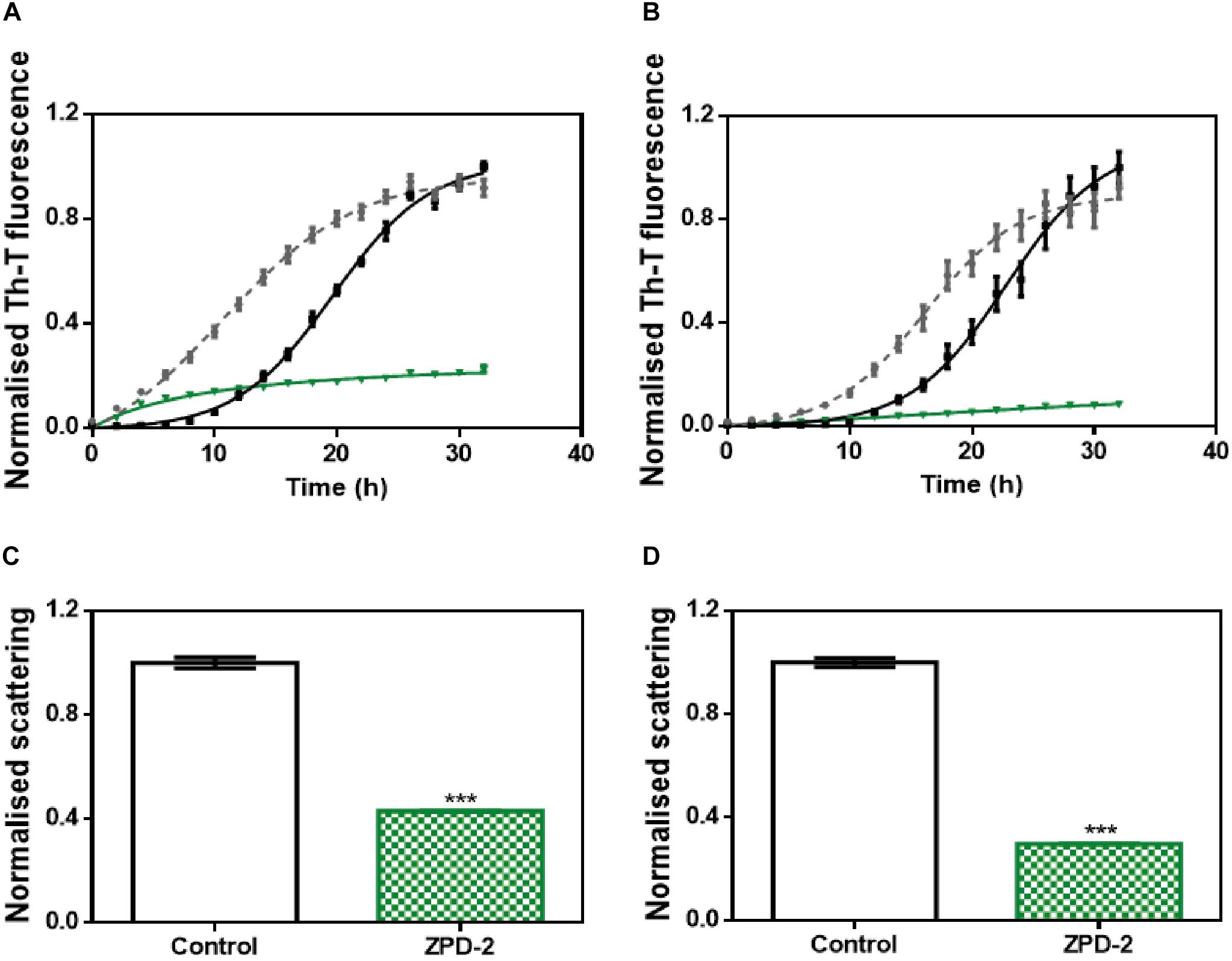 Frontiers  Inhibition of α-Synuclein Aggregation and Mature Fibril  Disassembling With a Minimalistic Compound, ZPDm