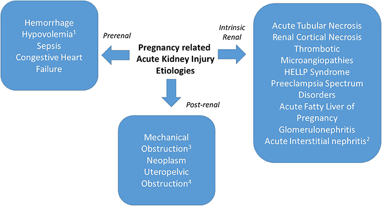 PDF] Epidemiology and Outcomes of Acute Flank Pain in University-Affiliated  Regional Emergency Medical Centers