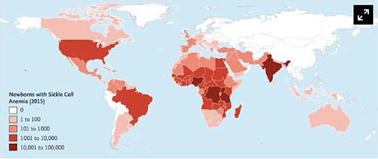 Frontiers | Life-Threatening Infectious Complications in ...