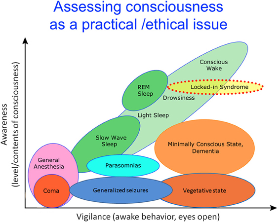 Frontiers | Consciousness in humans and non-human animals: recent advances and future directions Frontiers | Consciousness in humans and non-human animals: recent advances and future directions