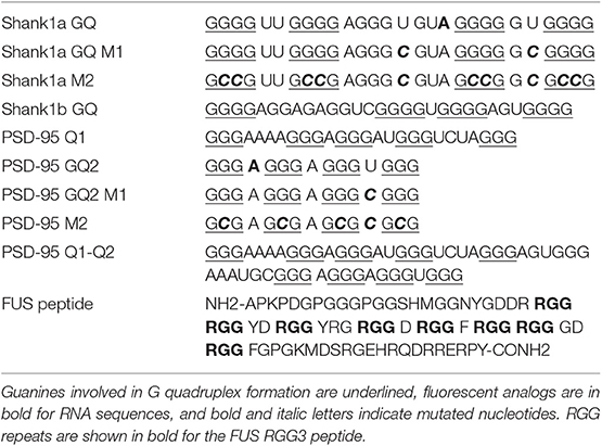 Frontiers Fus Recognizes G Quadruplex Structures Within Neuronal Mrnas Molecular Biosciences
