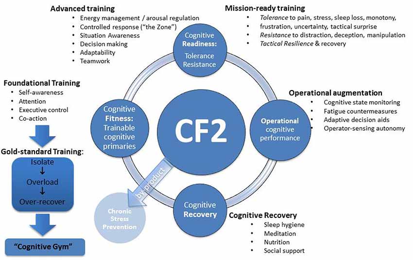 Cognitive fitness exercises