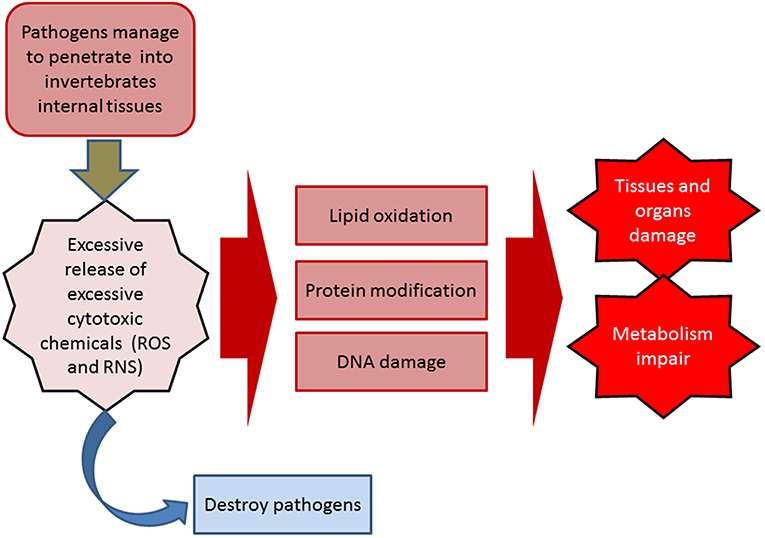 Crucial Roles of Carotenoids as Bacterial Endogenous Defense