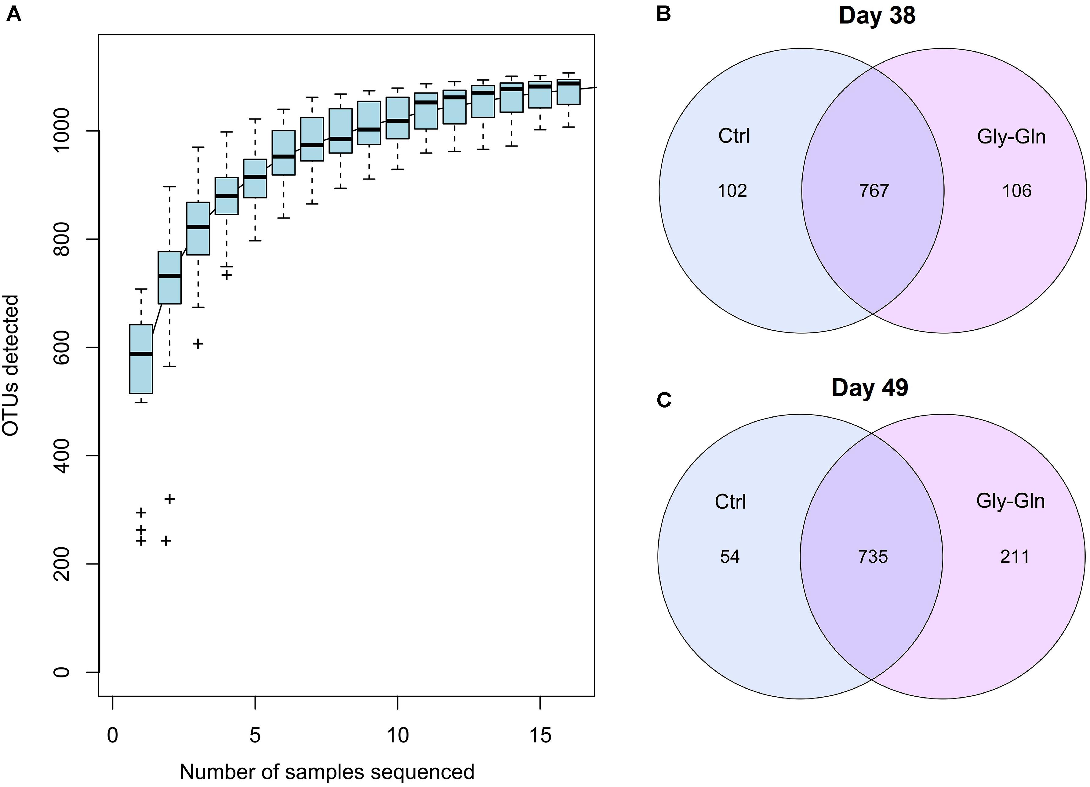 Frontiers Modulation Of Gut Microbial Community And Metabolism By Dietary Glycyl Glutamine Supplementation May Favor Weaning Transition In Piglets Microbiology