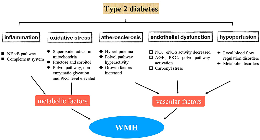 does diabetes cause hyperlipidemia