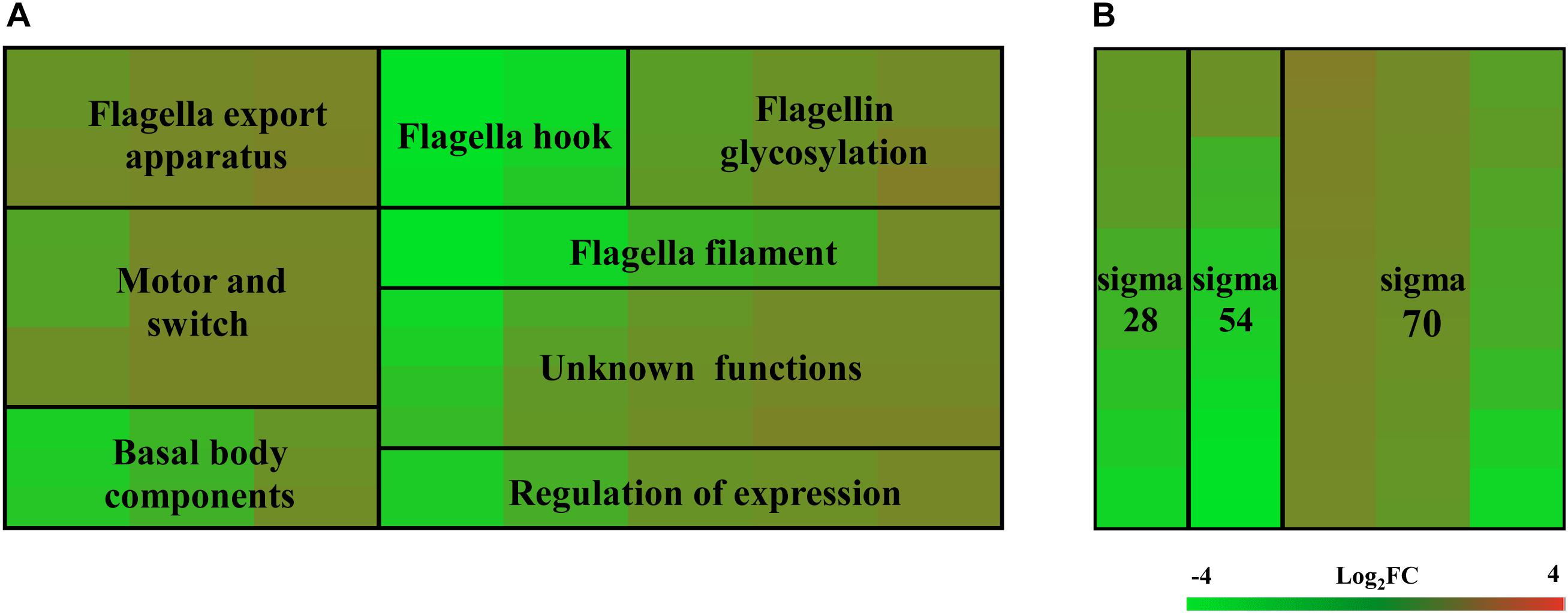 www.frontiersin.org