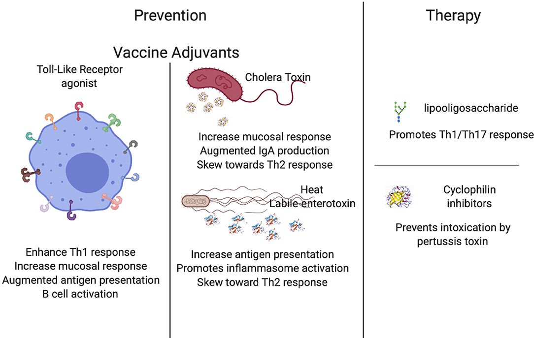 pertussis toxin