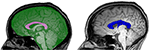 www.frontiersin.org