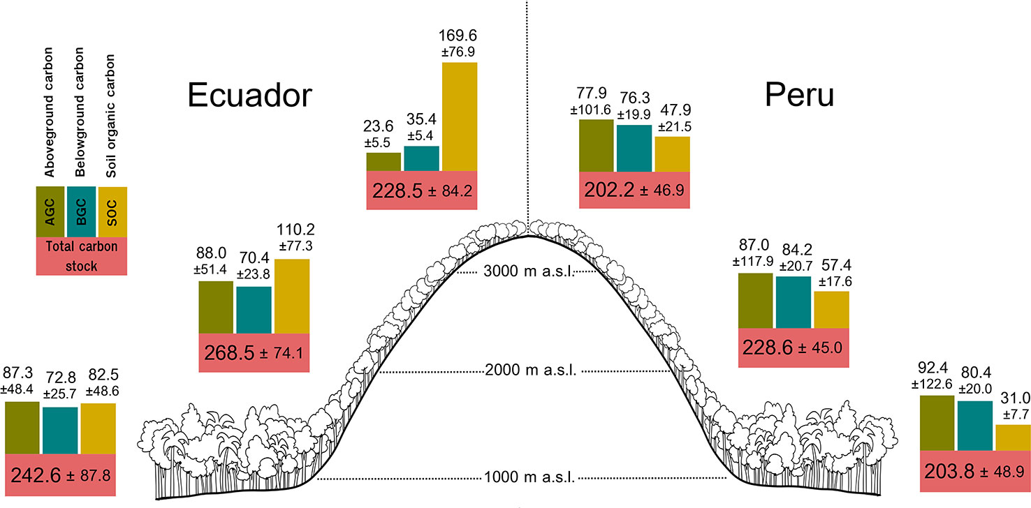 Frontiers  Wood density is related to aboveground biomass and productivity  along a successional gradient in upper Andean tropical forests