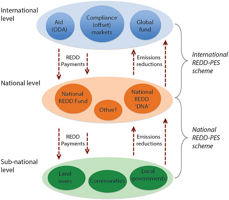 Frontiers | REDD+ in Theory and Practice: How Lessons From Local Projects Can Approaches