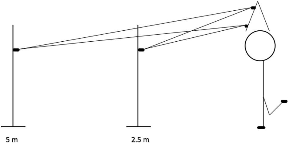 Frontiers | Distality of Attentional Focus and Its Role in Postural ...