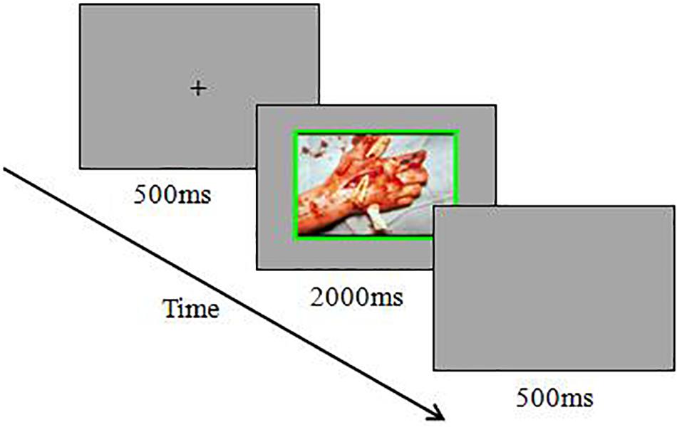 stroop effect conclusion