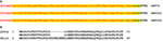 www.frontiersin.org