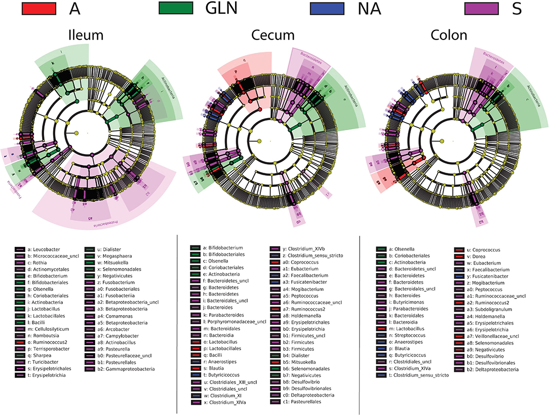 Frontiers Effects Of Three Distinct 2 Week Long Diet Strategies After Transport On Weaned Pigs Short And Long Term Welfare Markers Behaviors And Microbiota Veterinary Science