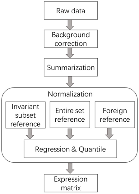 www.frontiersin.org
