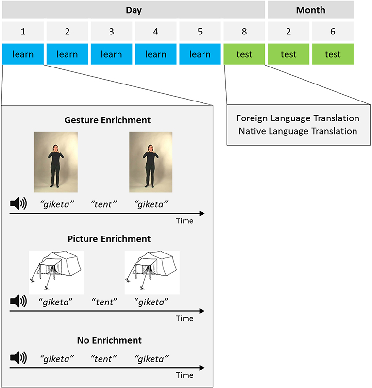 Figure 1 - Foreign language learning procedure.