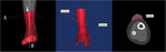 www.frontiersin.org