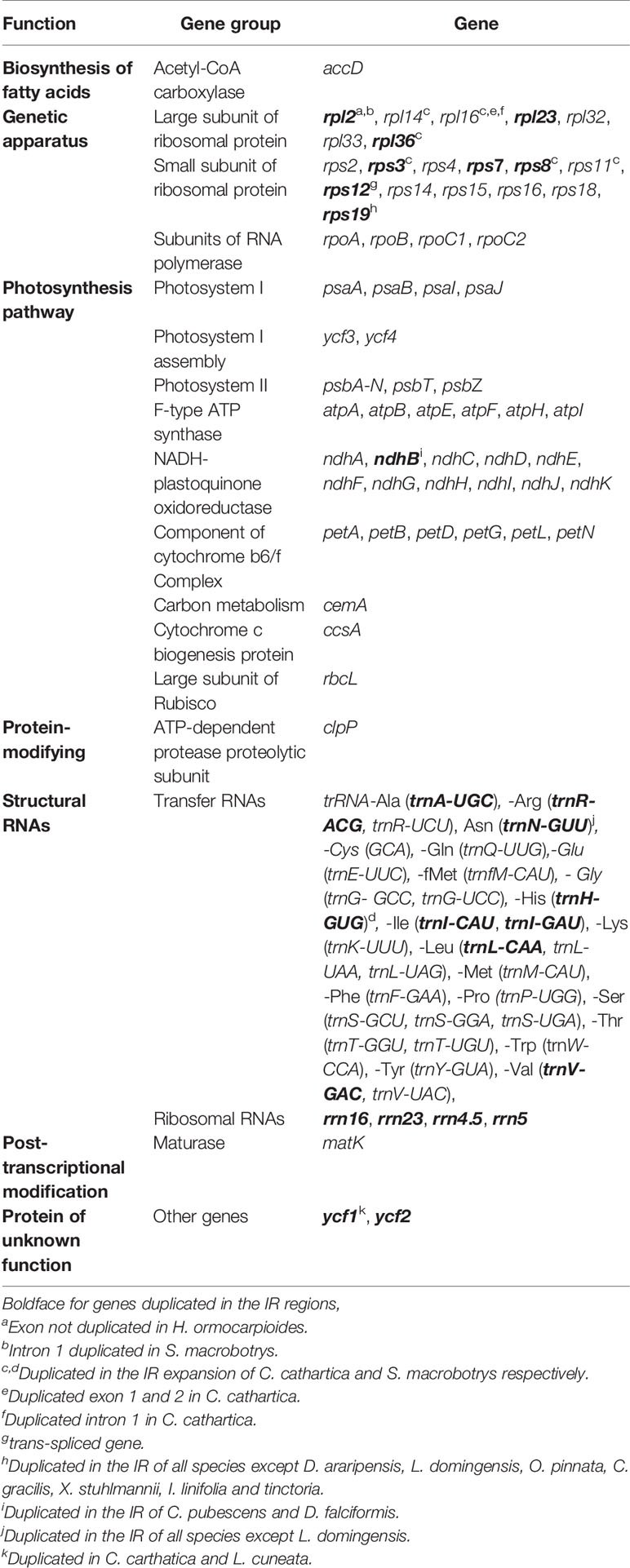 Frontiers New Insights Into The Plastome Evolution Of The