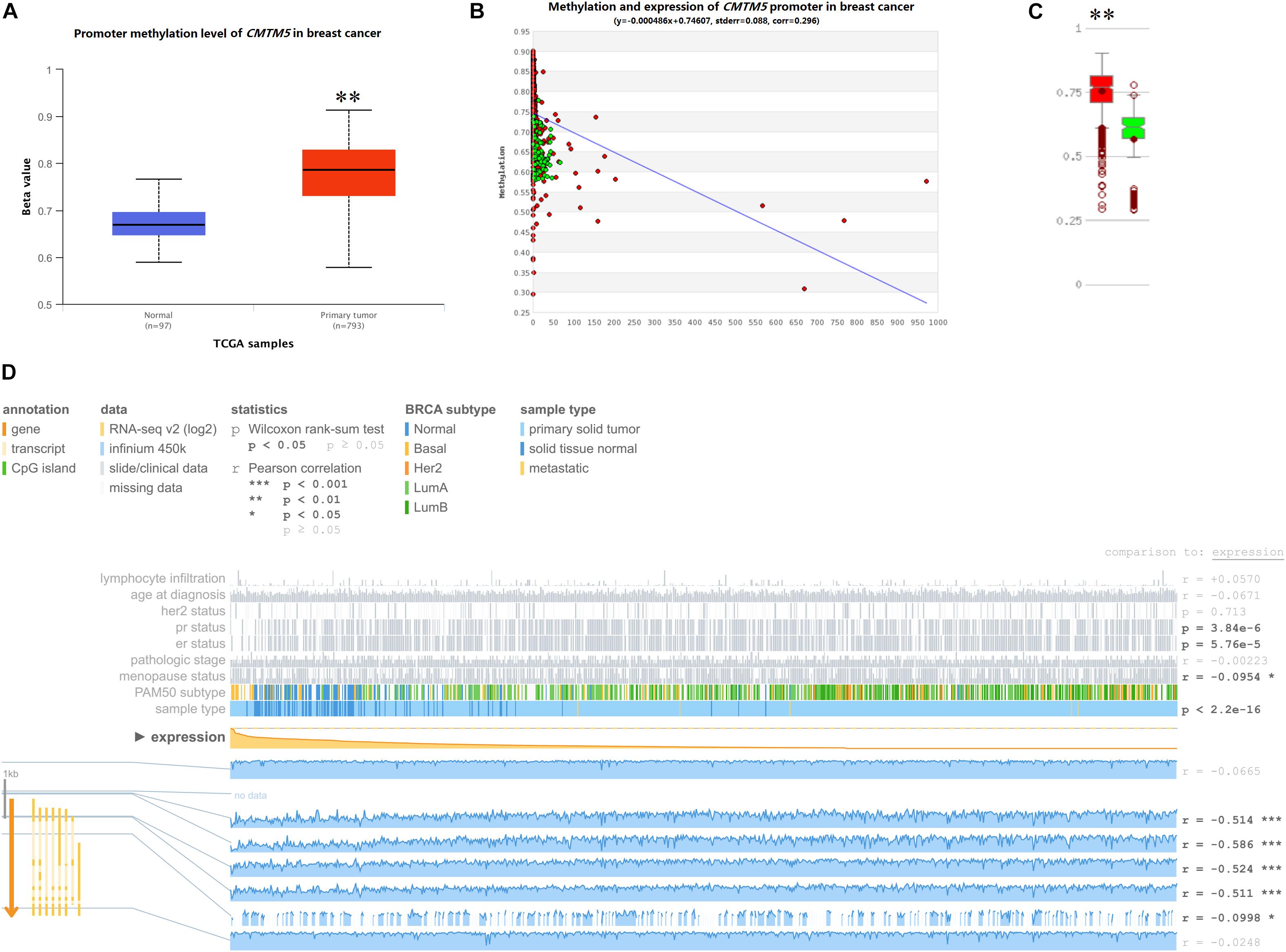 cytoscape networks with bisogenet cytoscape networks with bisogenet