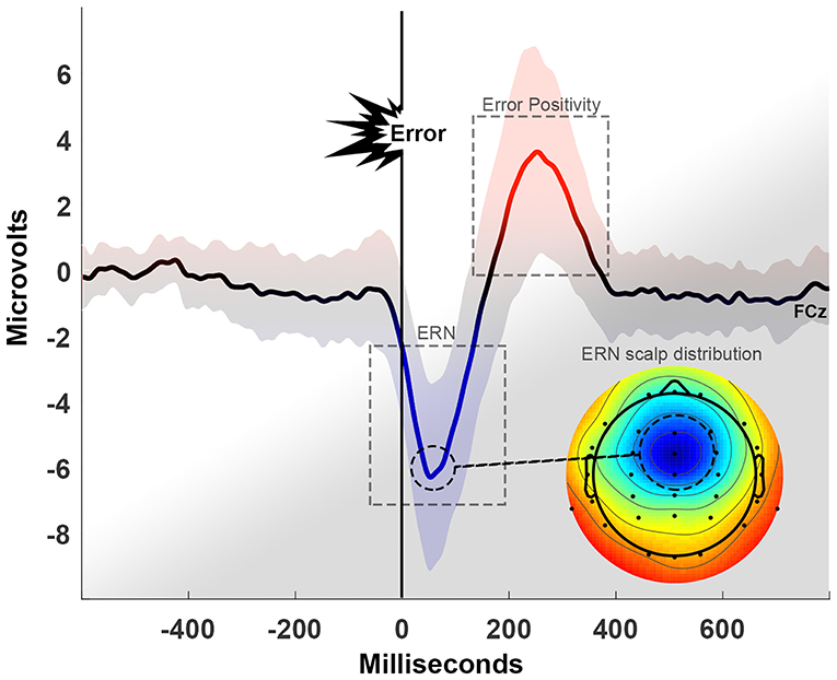 Figure 1 - The error-related negativity (ERN) and the error positivity.