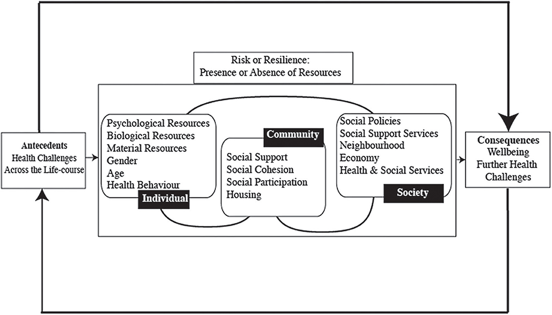 Frontiers The Influence of Life Experiences on the Development of
