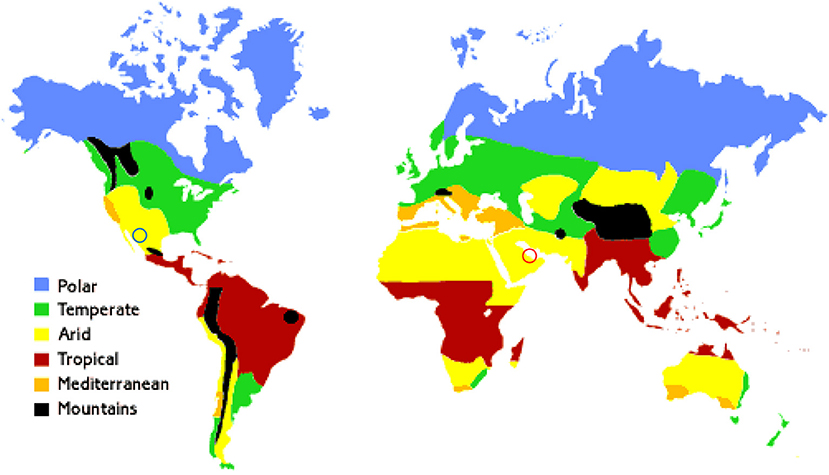www.frontiersin.org