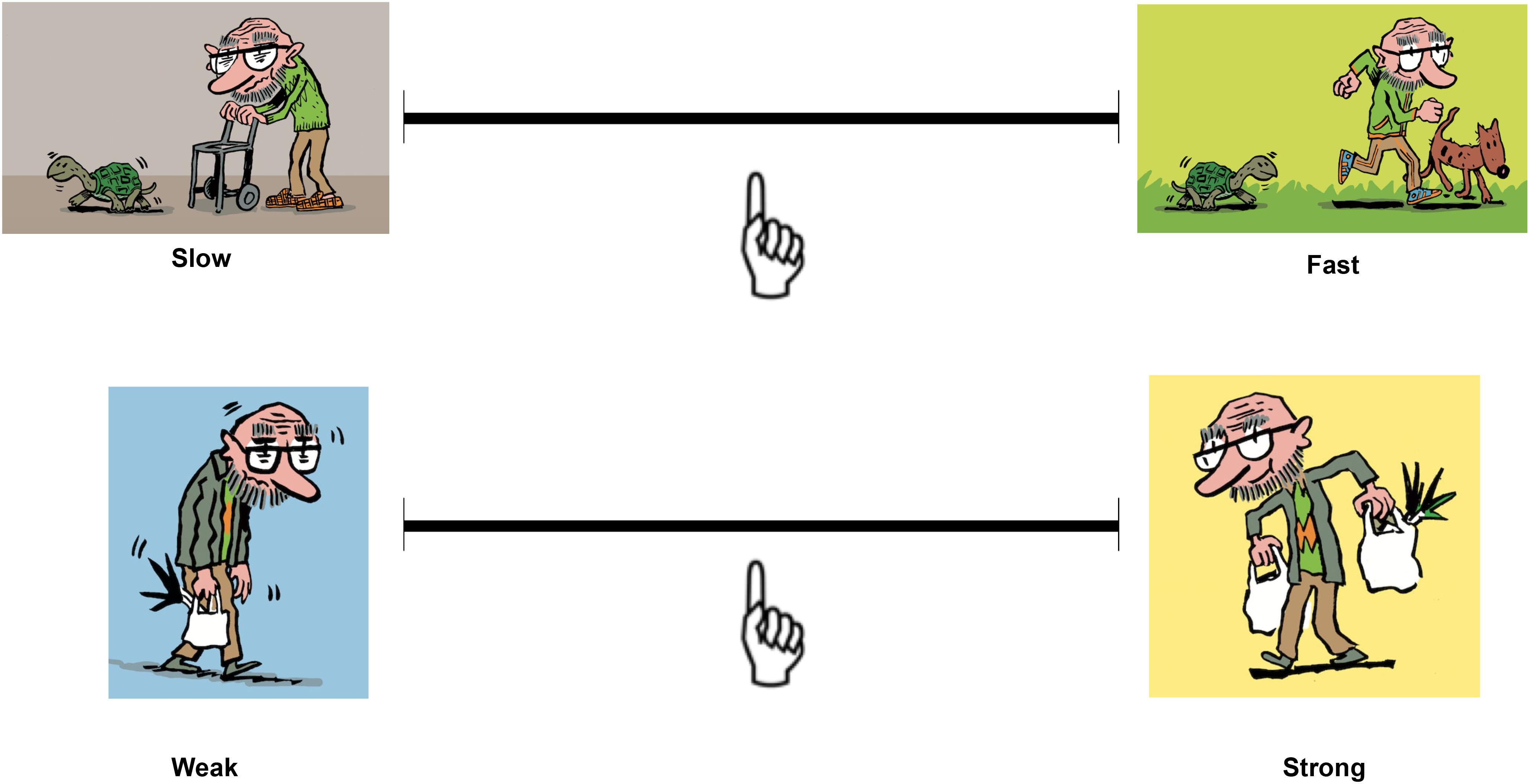 www.frontiersin.org