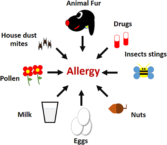 Figure 1 - Examples of common allergens.