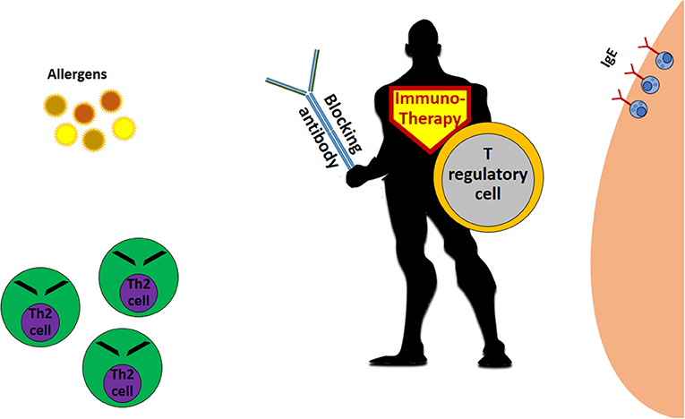 Figure 2 - The allergy immunotherapy “superhero.”