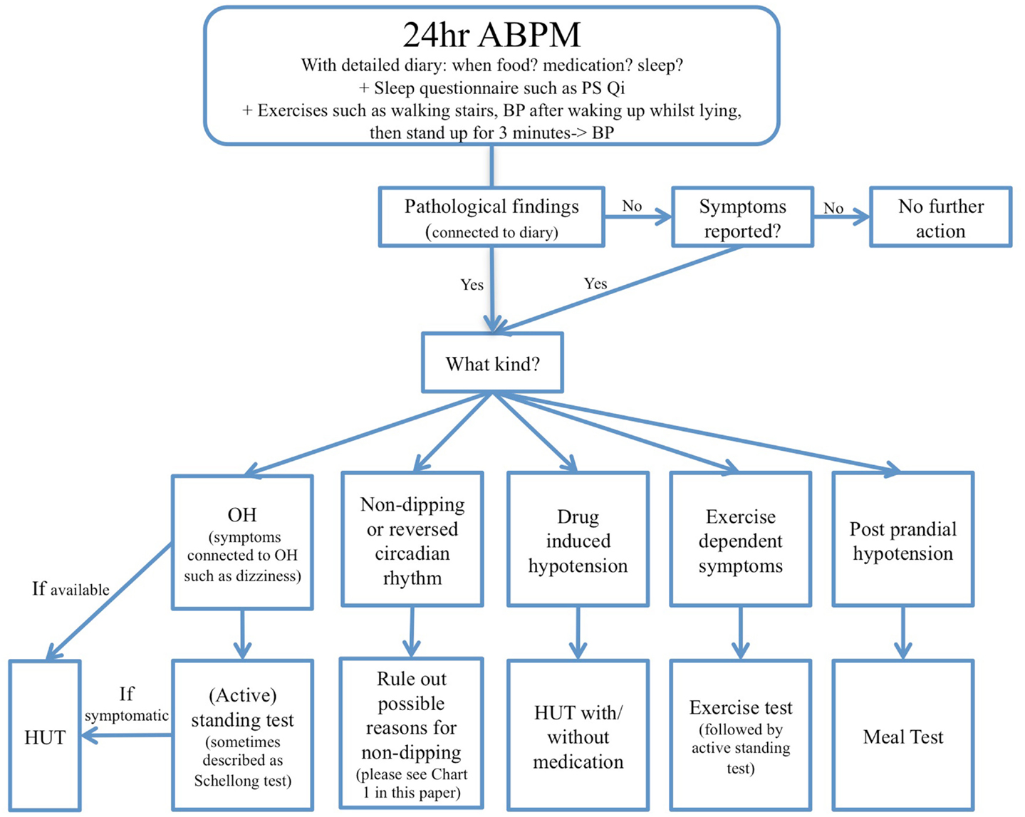 Blood Pressure Circadian Rhythm Chart