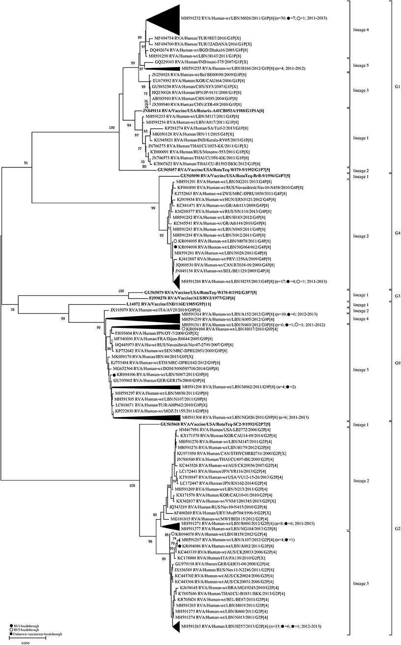 Frontiers Genetic Diversity Of Human Rotavirus A Among Hospitalized Children Under 5 Years In Lebanon Immunology