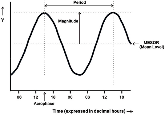 Application of cosinor analysis to mean heart rate parameters from