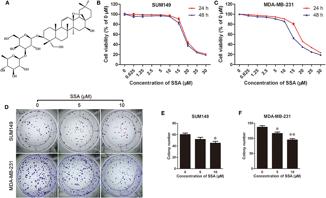 Ketoprofen suppresses triple negative breast cancer cell growth by inducing  apoptosis and inhibiting autophagy