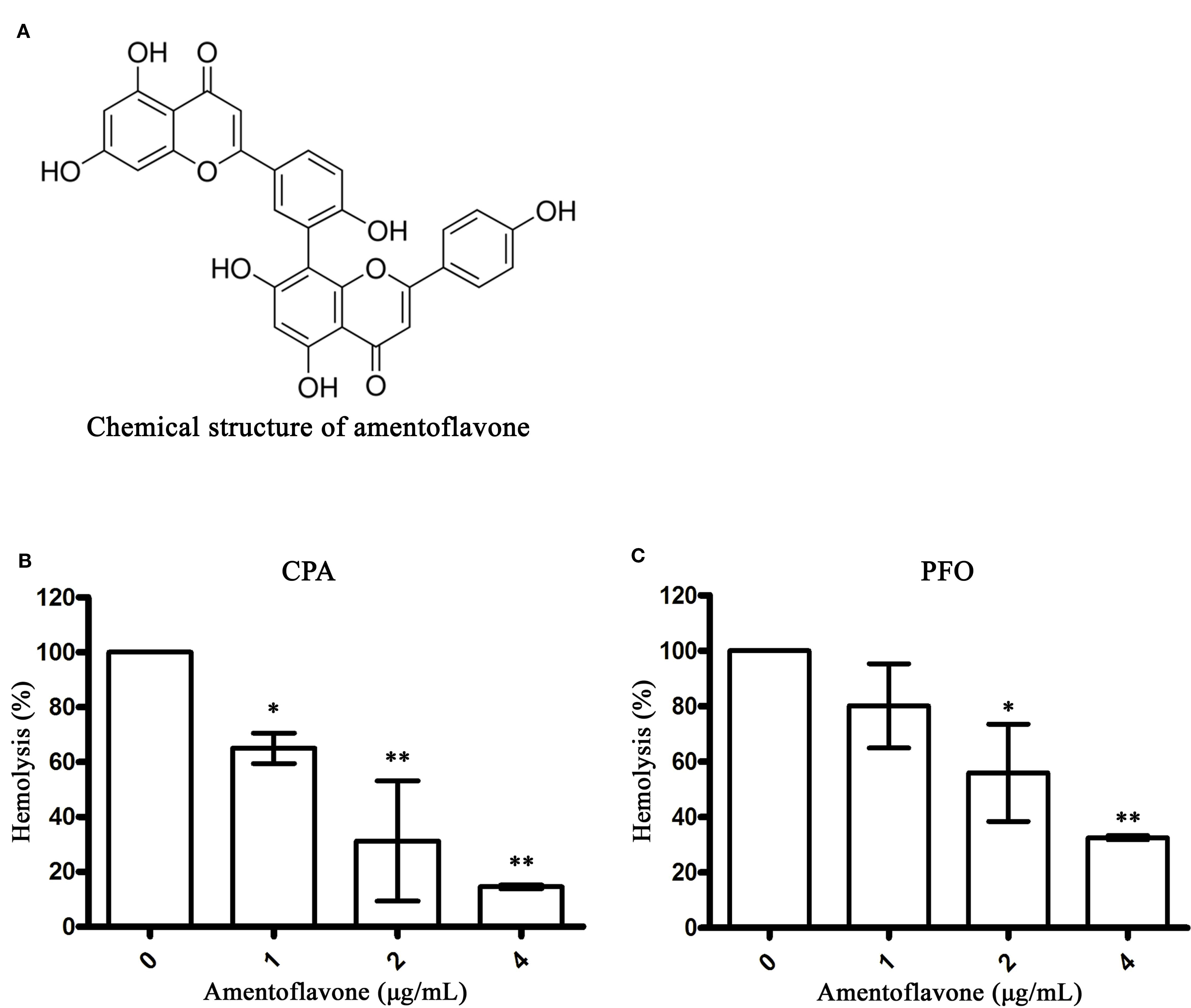 Frontiers Amentoflavone Attenuates Clostridium Perfringens Gas Gangrene By Targeting Alpha Toxin And Perfringolysin O Pharmacology