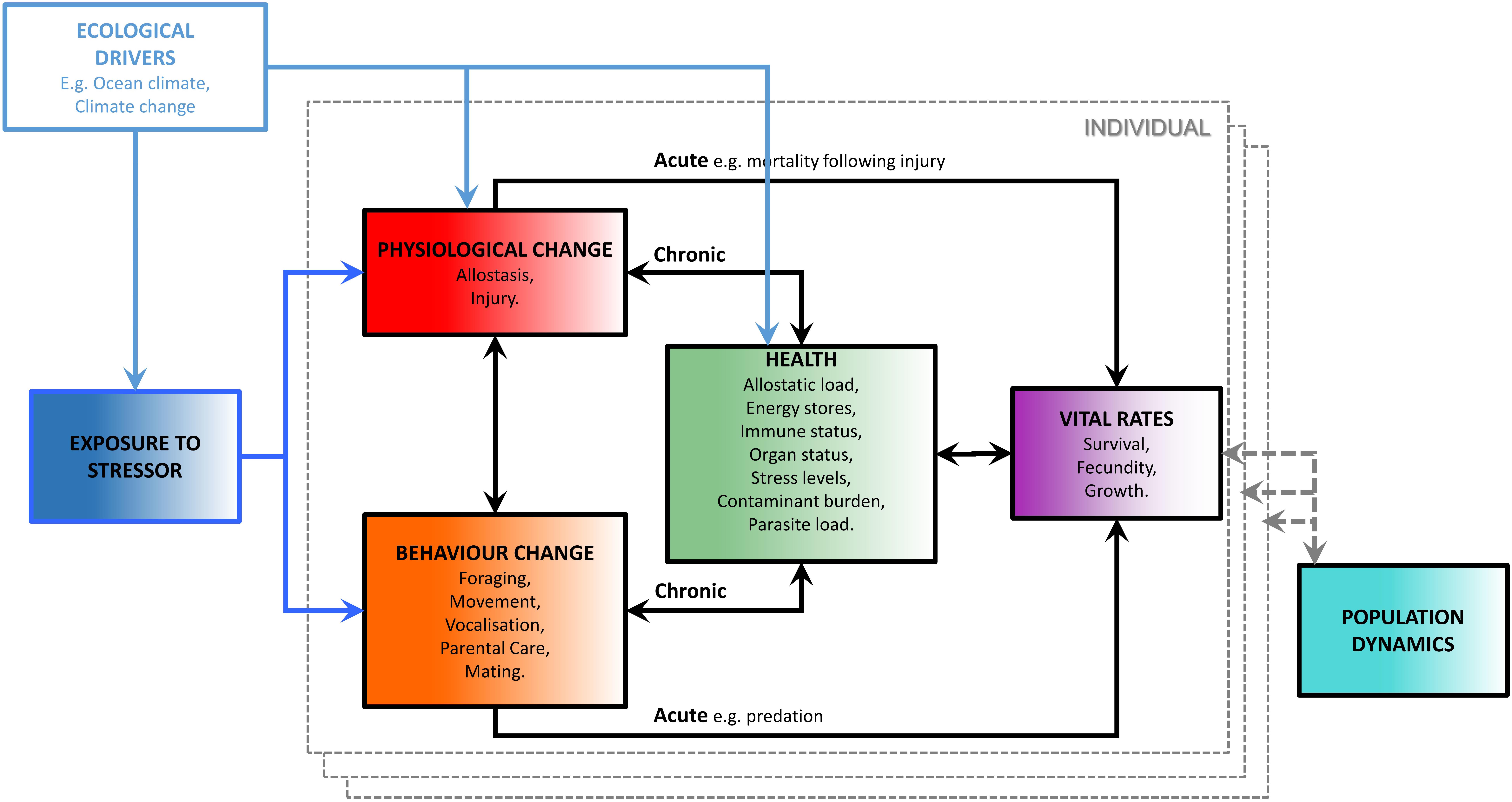 Frontiers Methods For Monitoring For The Population Consequences Of Disturbance In Marine Mammals A Review Marine Science