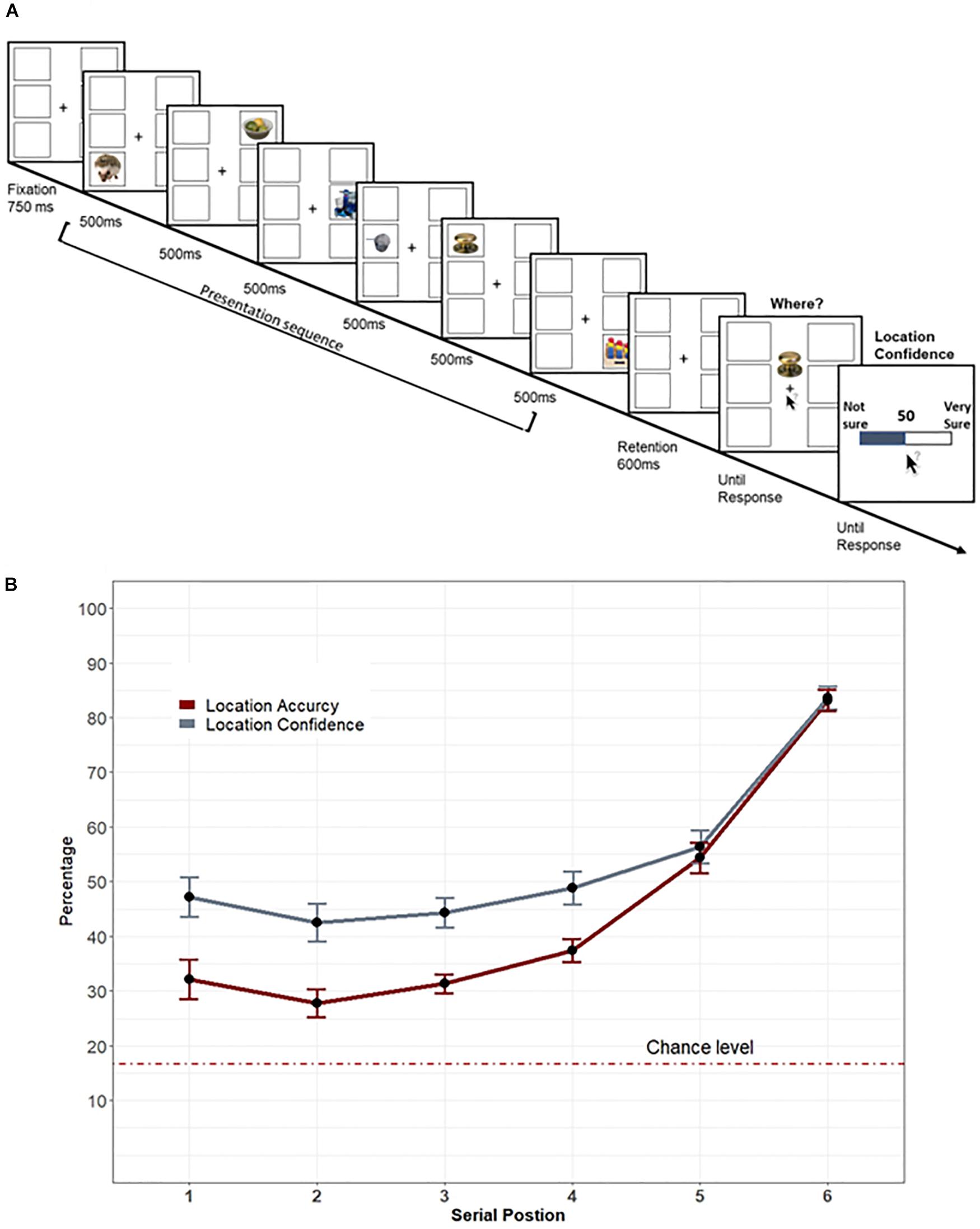 Frontiers | A Metacognitive Perspective of Visual Working