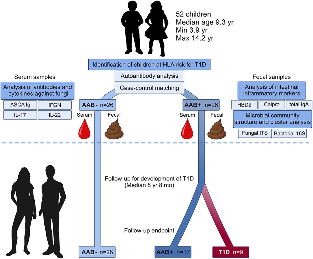 dysbiosis markerek