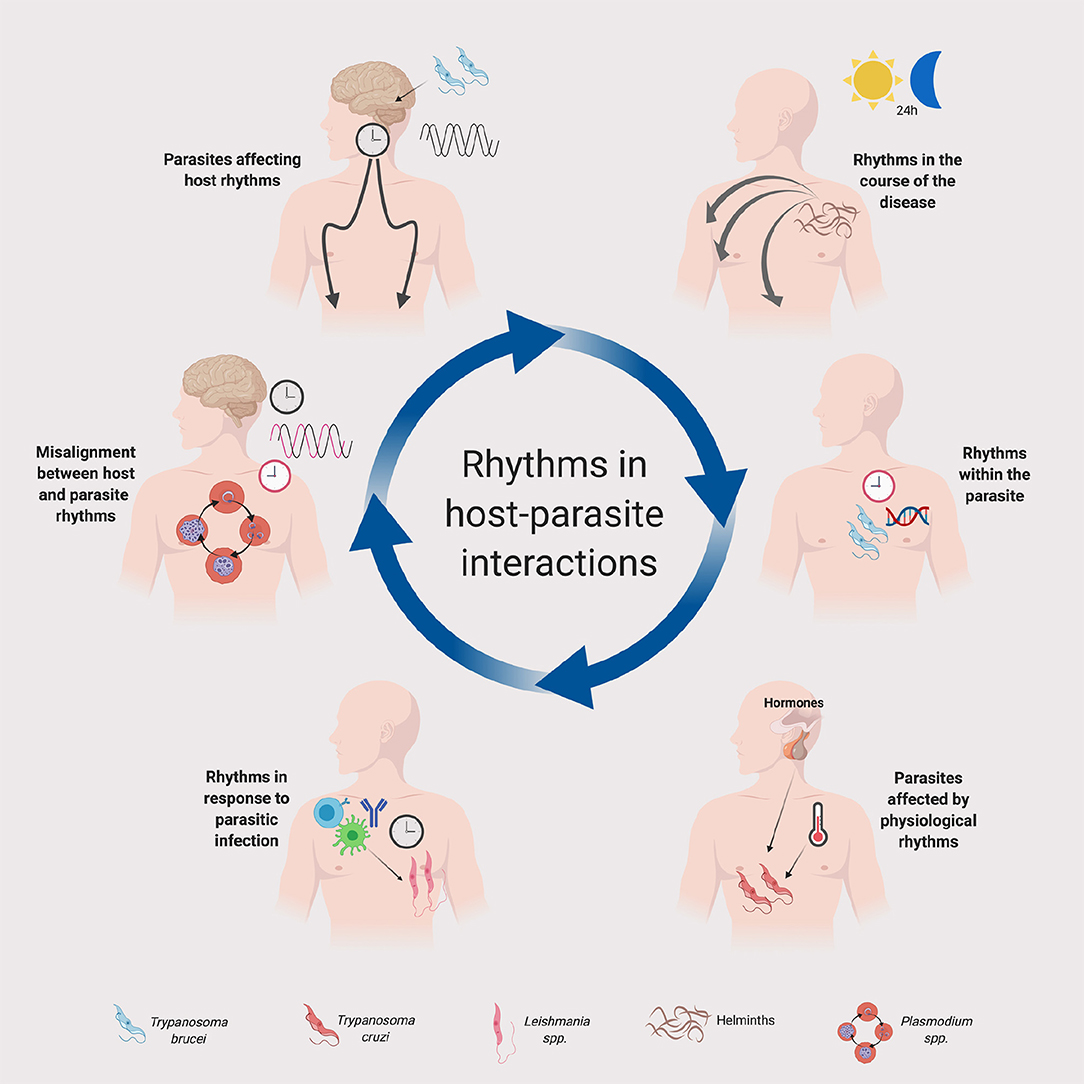 OPDIVO ability set immune-mediated premature alternatively eczema