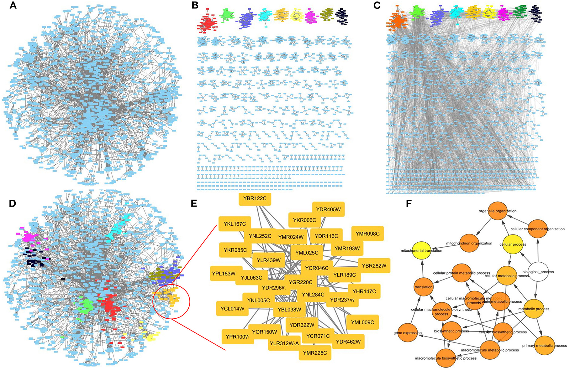 Frontiers  A Guide to Conquer the Biological Network Era Using Graph 