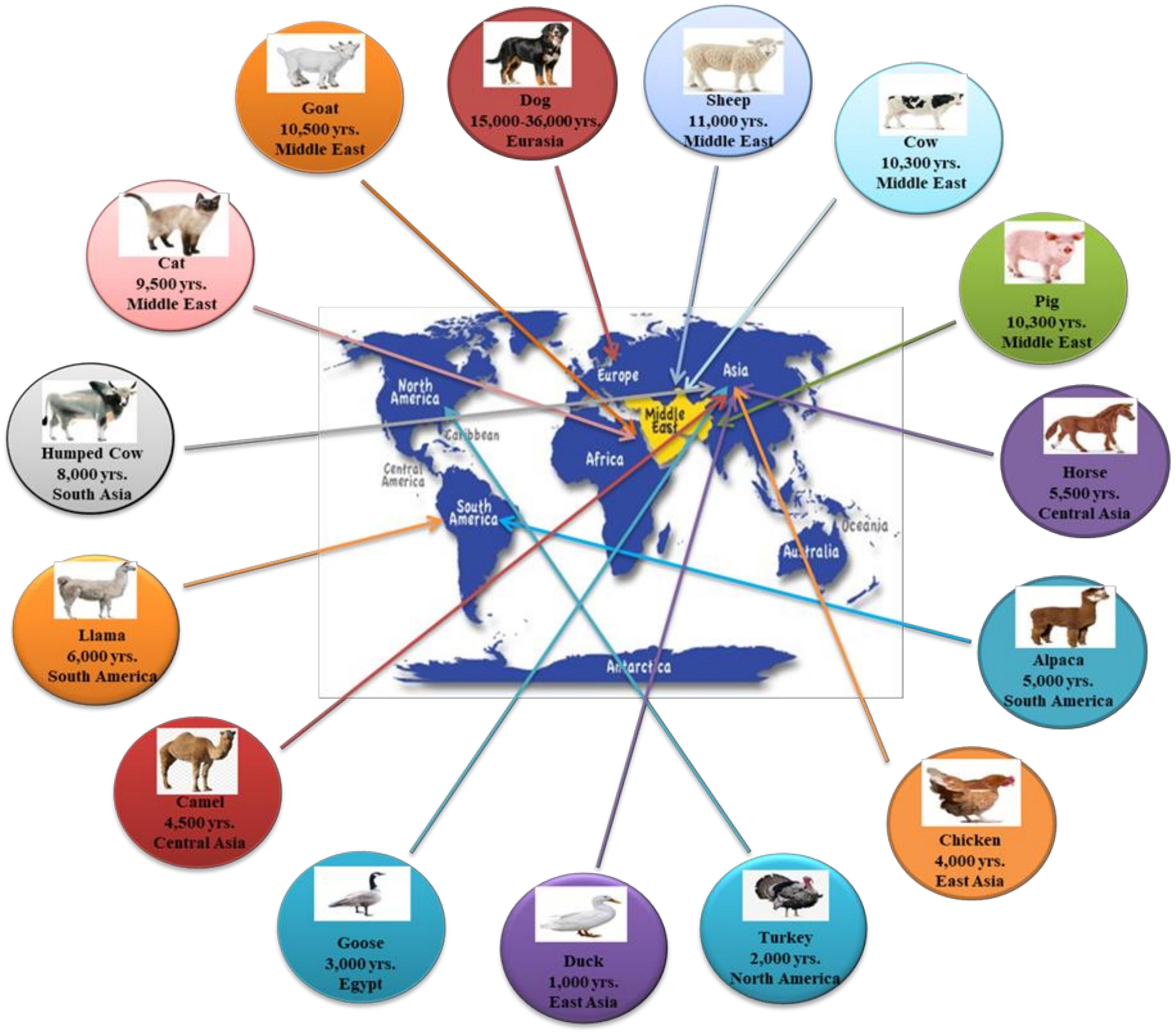 Frontiers | Domestication Evolution, Survival, Challenges | Ecology and Evolution